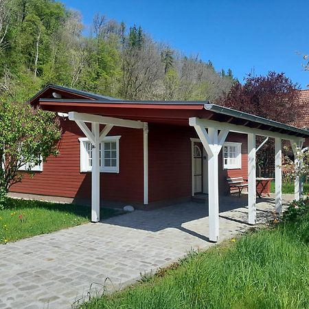 Ferienhaus Am Wald Wippra المظهر الخارجي الصورة
