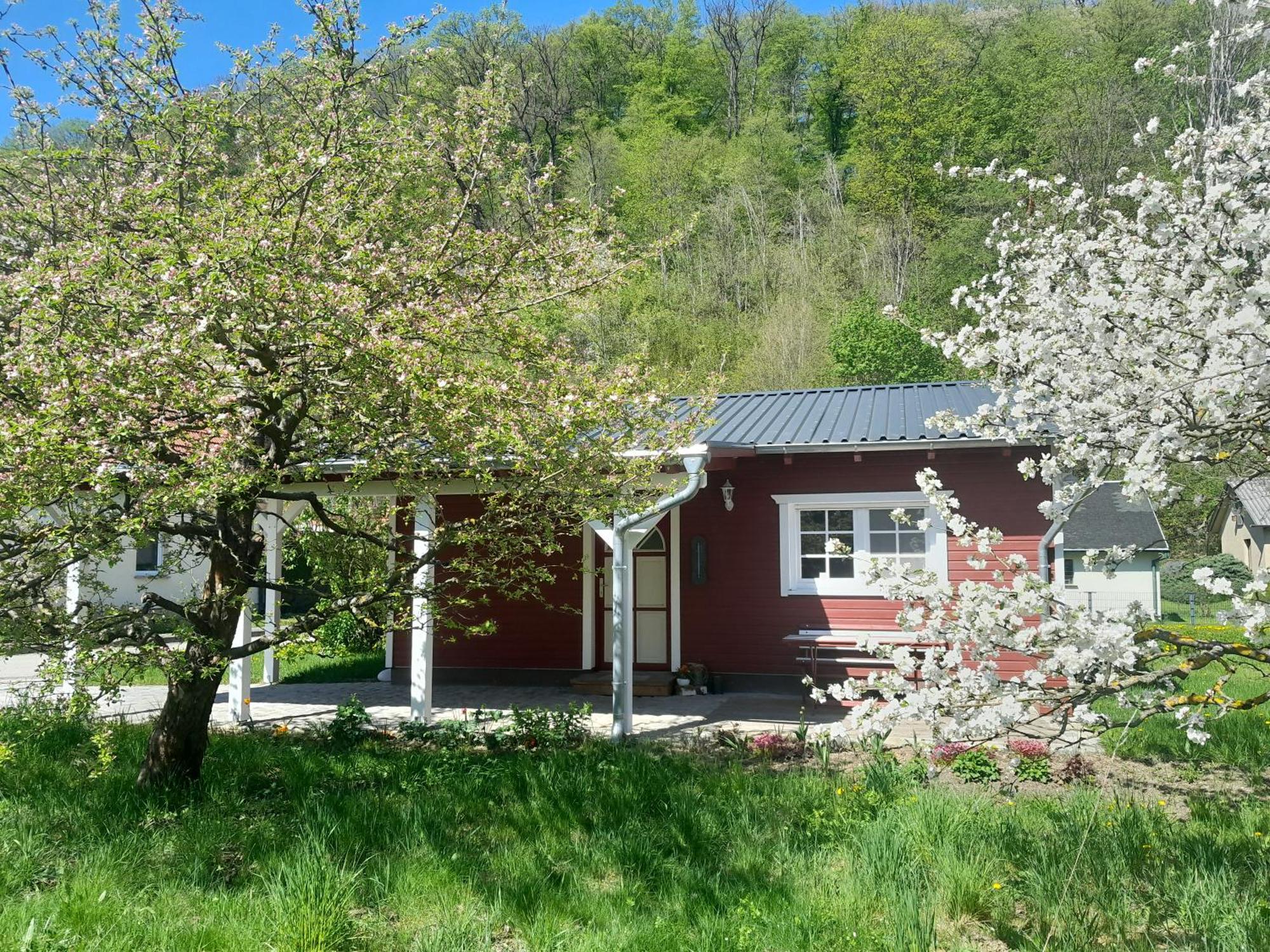 Ferienhaus Am Wald Wippra المظهر الخارجي الصورة
